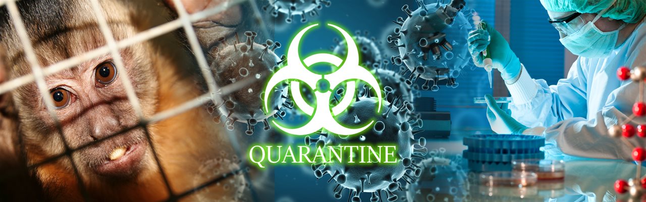 Quarantine Houston Escape Room